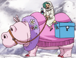 Two-Humped Hippo