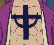 Whitebeard Second Jolly Roger