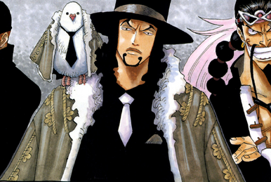 One Piece: The Possessors of the Power of Rokushiki! 