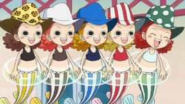Medaka Mermaid Quintuplets Anime Infobox