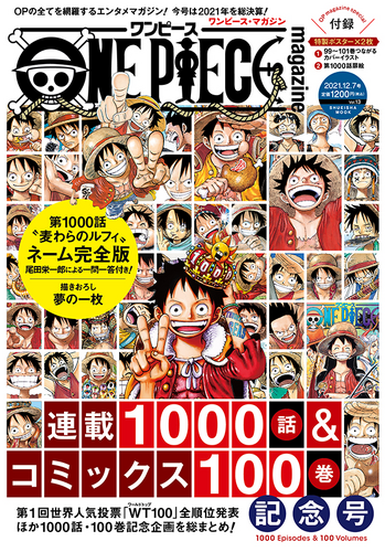 One Piece Magazine Vol.13