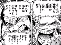 One Piece Hi o mo Yaki Tsukusu Chikara: Akainu Hijou no Tsuigeki