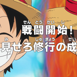 Episode 250, One Piece Wiki