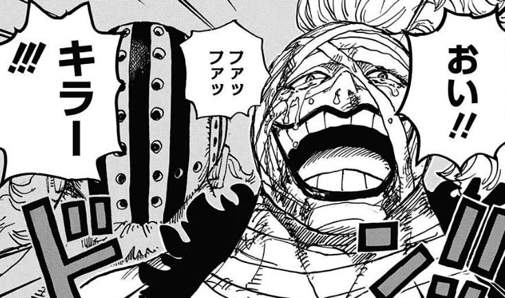 Killer One Piece Encyclopedie Fandom