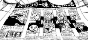 Timeskip Straw Hat News