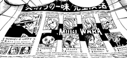 Timeskip Straw Hat News