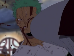 Zoro si lascia colpire