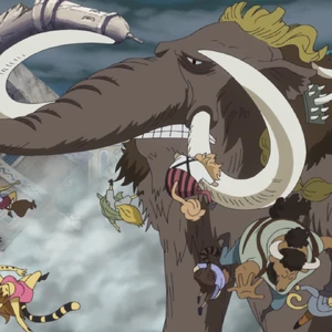 Discuss Everything About One Piece Wiki | Fandom