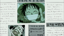 Luffy Wanted