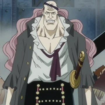 Squardo One Piece Wiki Italia Fandom