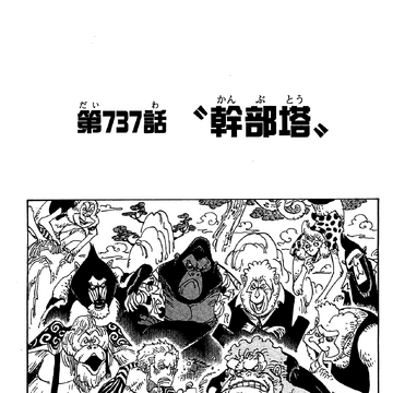 Chapter 737 One Piece Wiki Fandom