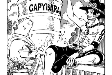 One Piece manga returns after hiatus and sets date for chapter 1087 -  Meristation