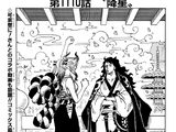 Chapter 1110