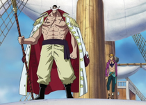 Whitebeard Compared to Normal Humans