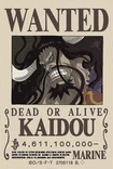 Kaidou One Piece Wiki Fandom