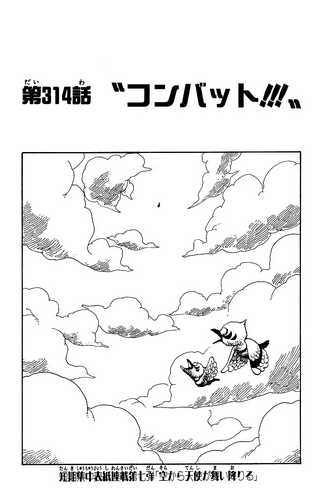 Chapter 314