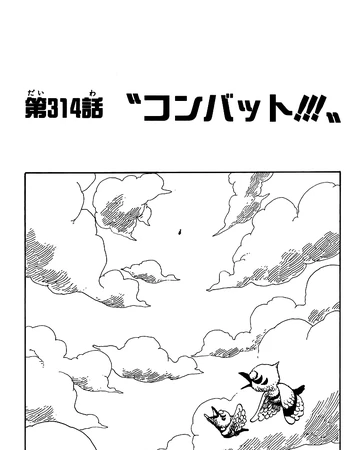 Chapter 314 One Piece Wiki Fandom
