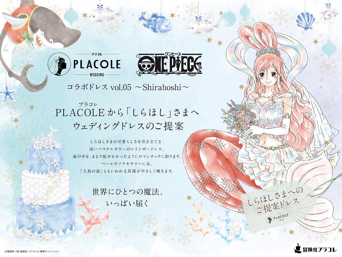 Placole Wedding Collaboration Dresses | One Piece Wiki | Fandom