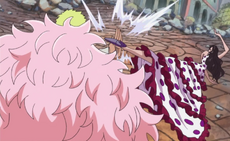 Viola enfrentándose a doflamingo