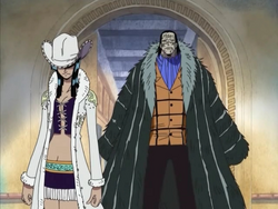 Crocodile Nico Robin