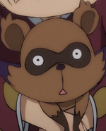 Tanuki de Wano