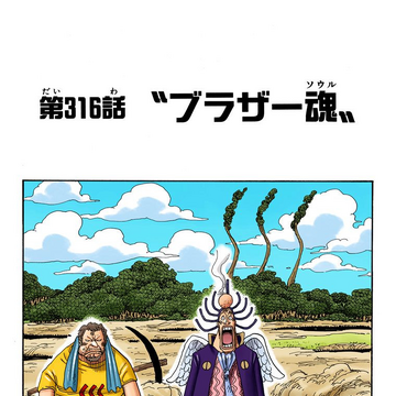 Glava 316 One Piece Wiki Fandom