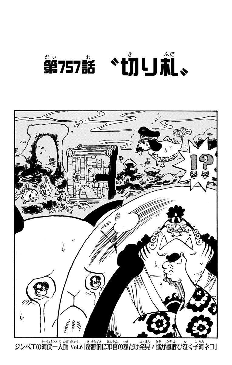 Chapter 757 One Piece Wiki Fandom