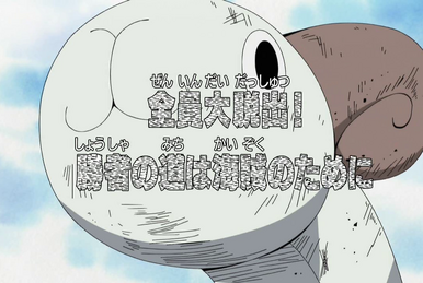 Watch One Piece Season 6 Episode 312 - Thank You, Merry! Snow