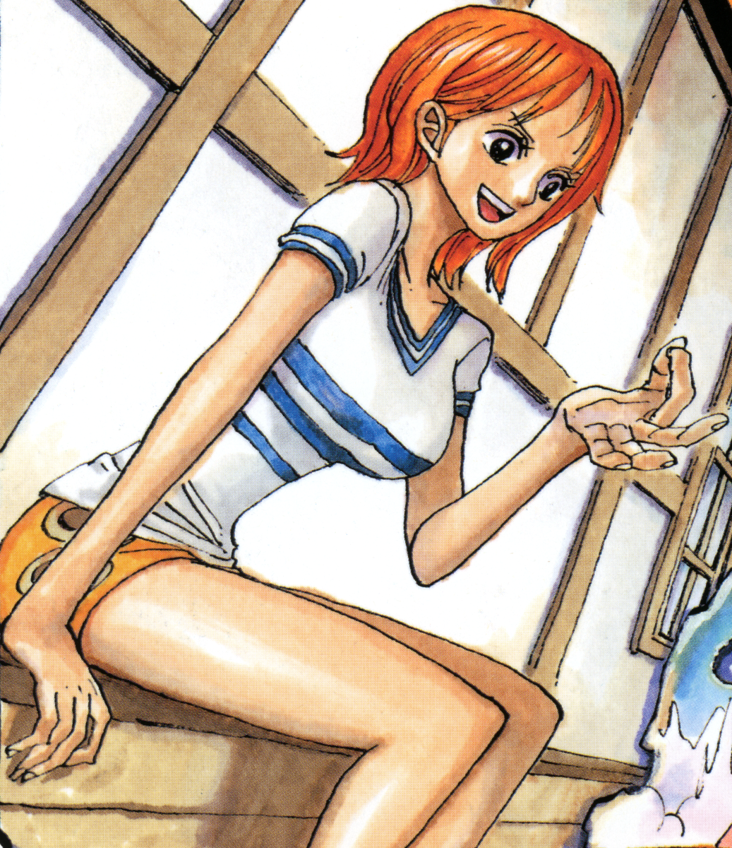 nami and luffy fighting