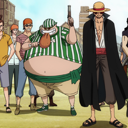 One Piece Wiki Fandom