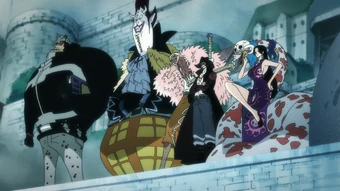 seven warlords of the sea one piece wiki fandom seven warlords of the sea one piece