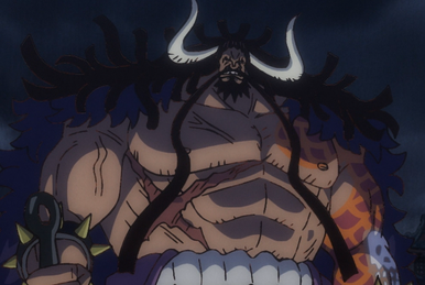 Belly, One Piece Wiki