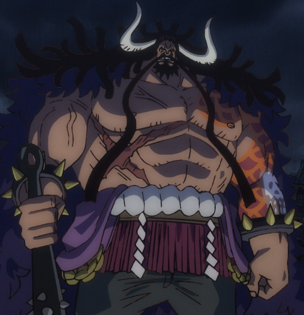 Afinal, a Akuma no Mi do Kaido já despertou em One Piece