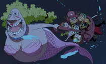 Might as well make the fish people fight — Kokoro (One Piece) VS. Otohime ( One