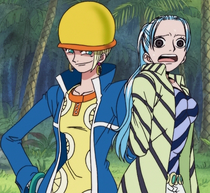 Nefertari Vivi One Piece Wiki Fandom