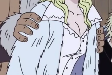 Mani | One Piece Wiki | Fandom 