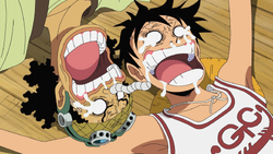 Usopp and Luffy Reunited