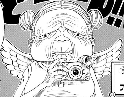 Amazon One Piece Wiki Fandom