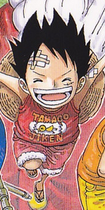 Luffy's Tamago Jiken Top