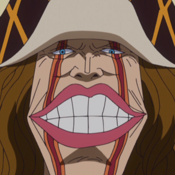 Paramecia One Piece Wiki Fandom