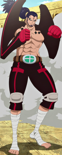 Arc Dressrosa One Piece Encyclopedie Fandom Arc Dressrosa One Piece Encyclopedie Fandom