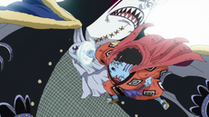 Jinbei VS Moria