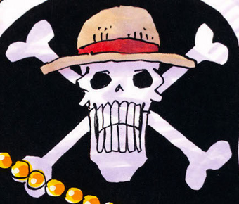 Piratas Do Chapeu De Palha One Piece Wiki Fandom Chapéu de palha floral hibisco o campeão de vendas! de palha one piece wiki