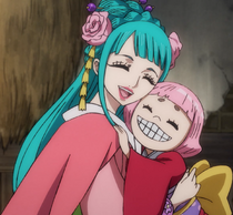 kozuki hiyori one piece wiki fandom