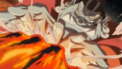 ジンベエ | ONE PIECE Wiki | Fandom