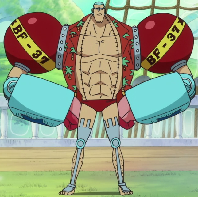 Franky, One Piece Wiki Italia