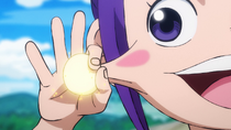 Kibi Kibi no Mi Infobox