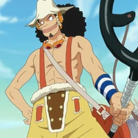 Usopp One Piece Wiki Fandom