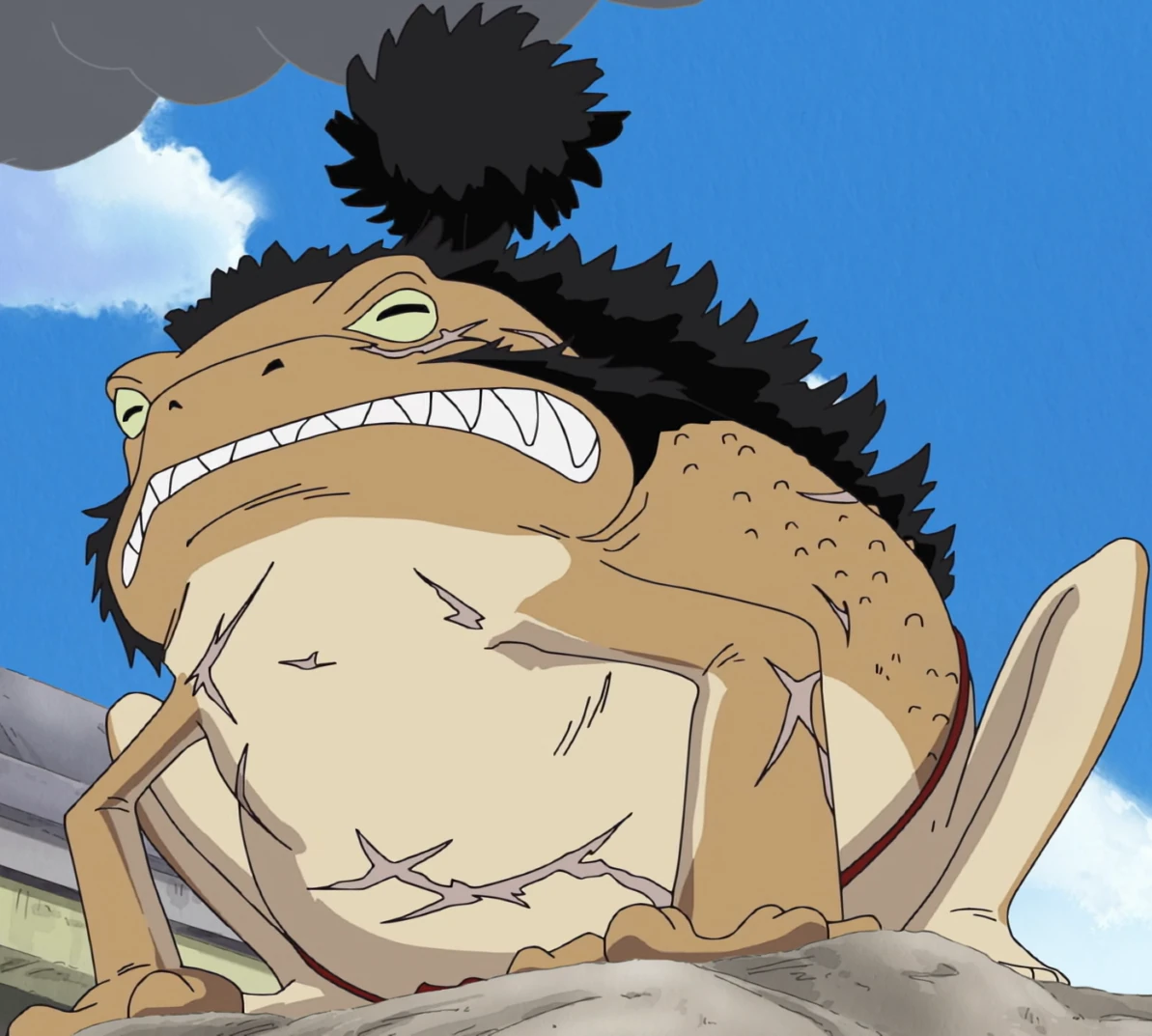 Yokozuna One Piece Wiki Fandom