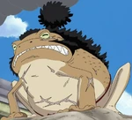 Yokozuna, Katak Sumo.